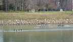 Women s Novice 4 b